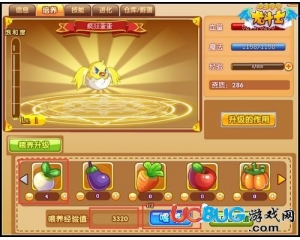 4399龍斗士飛行獸怎么培養(yǎng)？龍斗士飛行獸怎么升級(jí)？