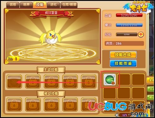 龍斗士飛行獸技能怎么得 怎么學習