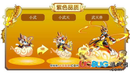 龍斗士小武-小武天-武天獸進(jìn)化圖鑒 屬性