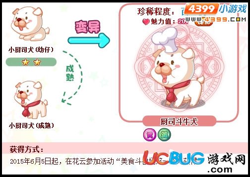 奧比島廚司斗牛犬怎么得