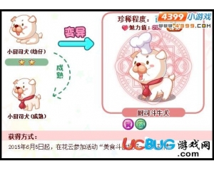 4399奧比島廚司斗牛犬怎么得？奧比島廚司斗牛犬在哪得？