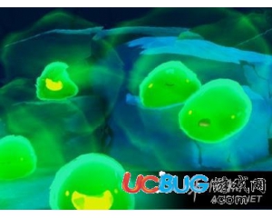 《史萊姆牧場》青色史萊姆在哪？怎么獲得？