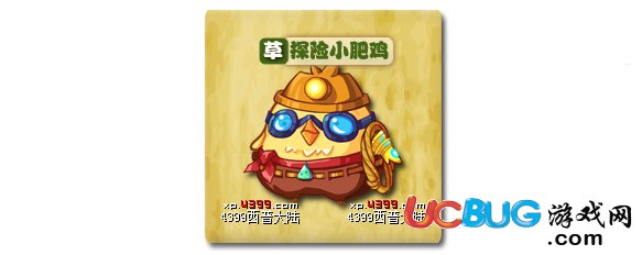 西普大陸探險小肥雞怎么得 在哪得