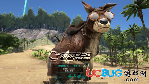 《方舟生存進化》袋鼠怎么馴服