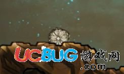 《缺氧》游戲7月7號都更新了那些內(nèi)容