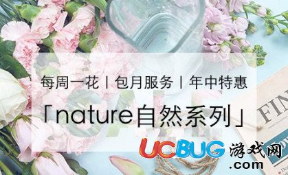 花點時間和flowerplus哪個比較好
