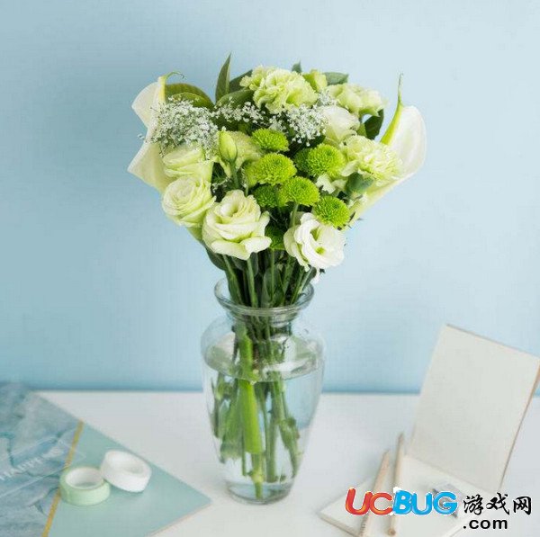 花點時間和flowerplus哪個比較好