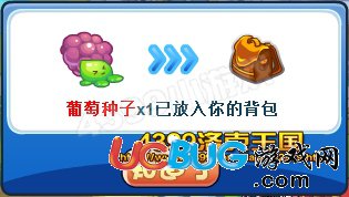 洛克王國葡萄種子