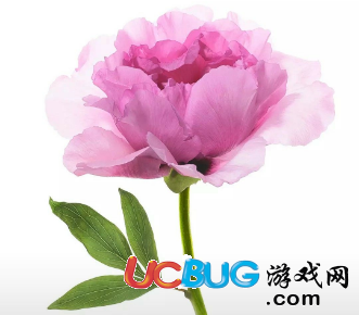 《小米畫報app》使用教程匯總