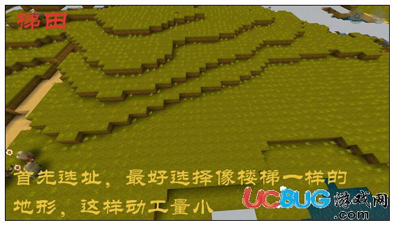 迷你世界梯田怎么做 超大農田做法