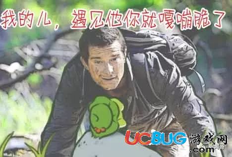 《旅行青蛙手游》入門進階到彩蛋篇攻略 養(yǎng)娃不如養(yǎng)蛙