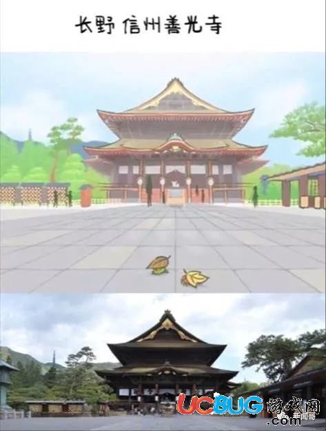 《旅行青蛙手游》入門進階到彩蛋篇攻略 養(yǎng)娃不如養(yǎng)蛙
