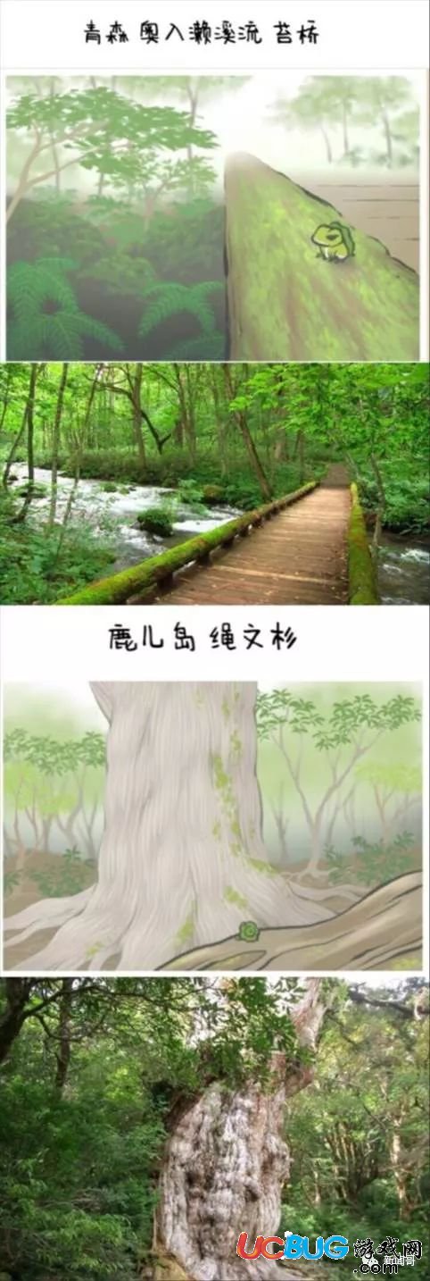 《旅行青蛙手游》入門進階到彩蛋篇攻略 養(yǎng)娃不如養(yǎng)蛙