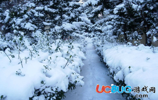 描寫跟雪有關(guān)的詩句都有哪些