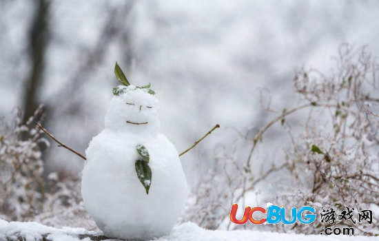 描寫跟雪有關(guān)的詩句都有哪些