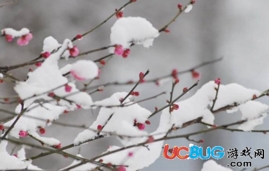 描寫跟雪有關(guān)的詩句都有哪些