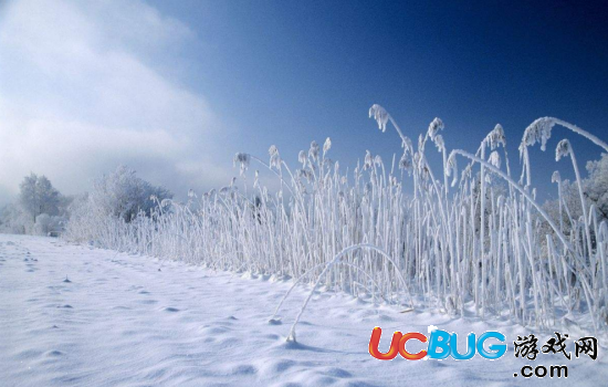 描寫跟雪有關(guān)的詩句都有哪些