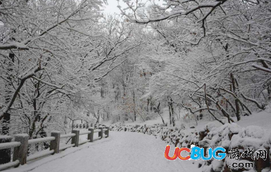 描寫跟雪有關(guān)的詩句都有哪些