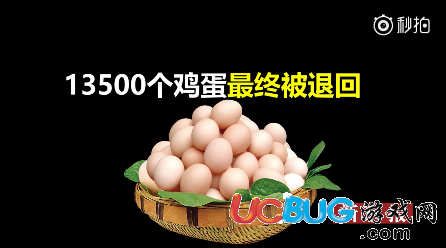 網(wǎng)絡(luò)熱詞"定1500個(gè)雞蛋送來(lái)15000個(gè)"是什么意思
