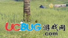 《荒野行動手游》新神器—椰子頭盔曝光