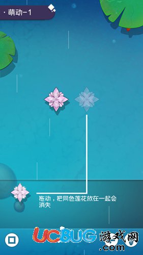 紙蓮