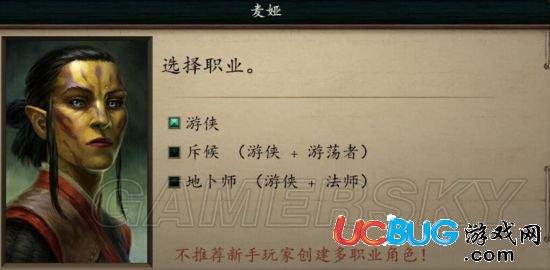 《永恒之柱2》可招募隊(duì)友及所在位置詳解