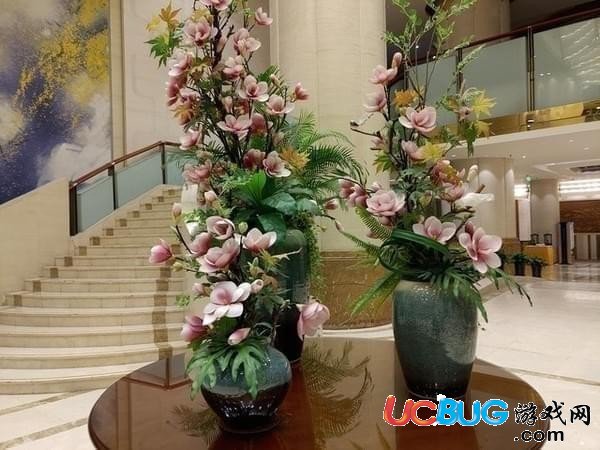 錘子堅果R1手機(jī)怎么樣 堅果R1評測