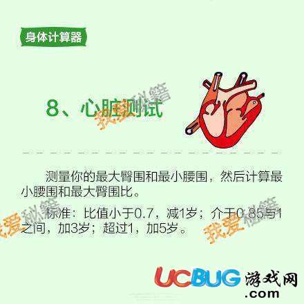 網(wǎng)絡熱詞"生物年齡"是什么意思 生物年齡測試方法