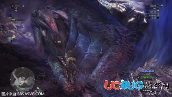 《怪物獵人世界》炎妃龍大小金怎么測量