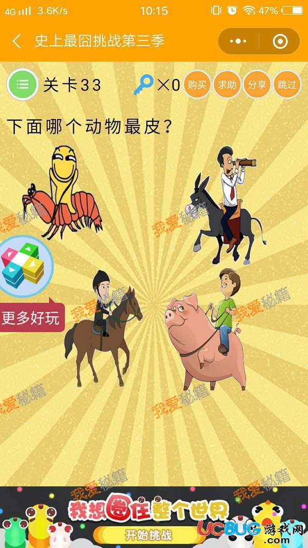 《史上最囧挑戰(zhàn)第三季》第33關(guān)之下面哪個(gè)動(dòng)物最皮
