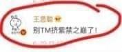 王思聰微博別TM擠紫禁之巔了是什么意思 王思聰在逆水寒哪個(gè)區(qū)
