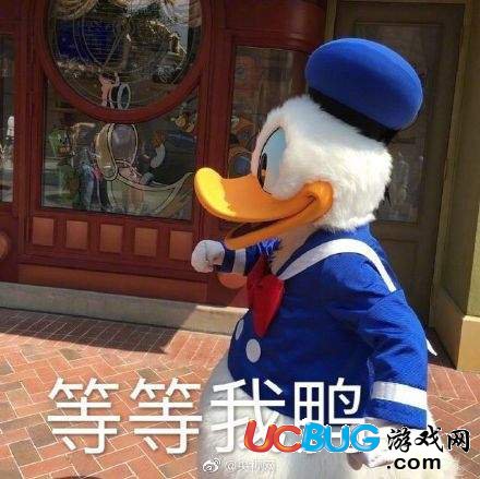 網(wǎng)上沖鴨含義_網(wǎng)上沖鴨高清無(wú)字表情包分享