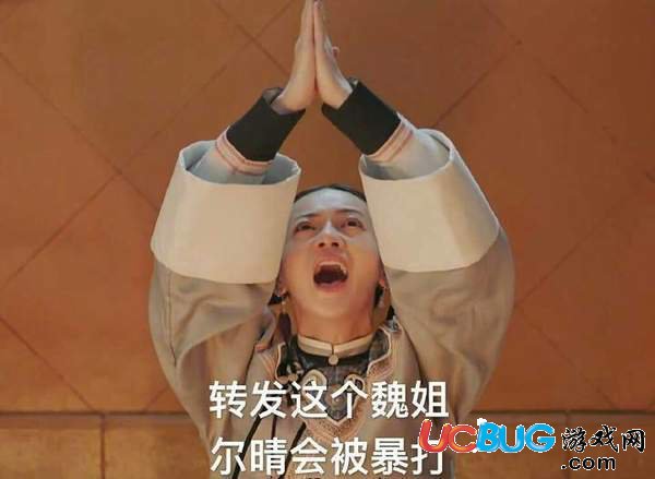 抖音轉(zhuǎn)發(fā)這個(gè)魏姐是什么意思 這個(gè)魏姐系列語錄大全