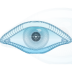 Nmap(網(wǎng)絡(luò)探測(cè)安全審計(jì))v7.91免費(fèi)版