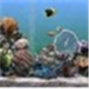 海星中文通(五筆打字練習(xí)軟件)v3.0 官方版