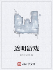 透明游戲